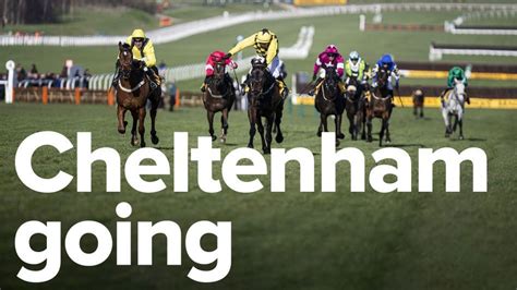 current going at cheltenham|Cheltenham Festival going improves but soft ground remains .
